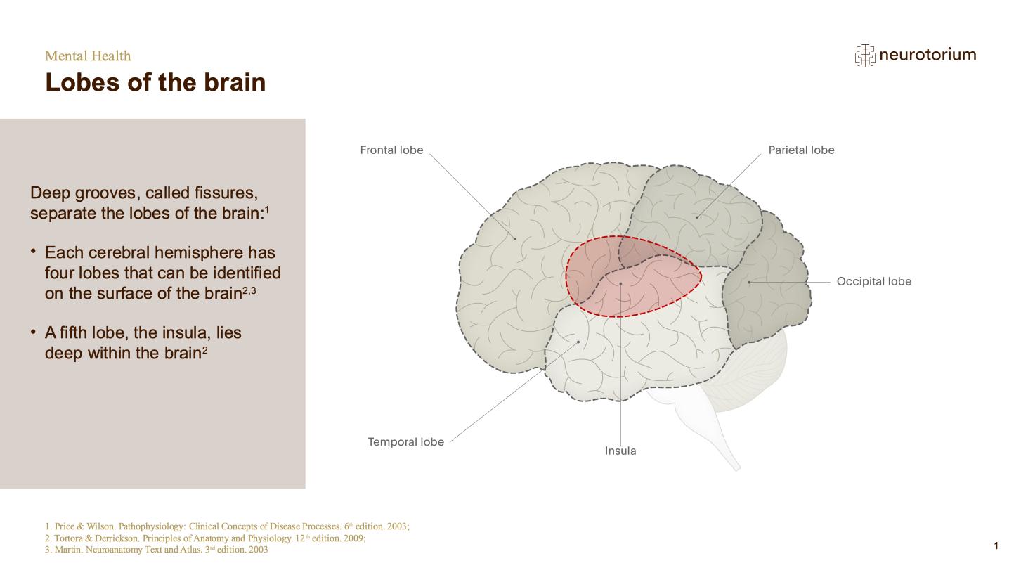 Mental Health – Fundamentals of Neurobiology – slide 7